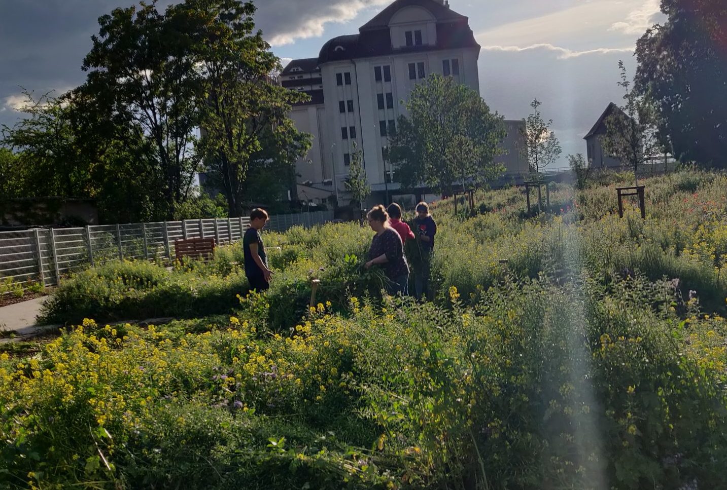 Auf Achse: Zur Tonne on tour: Eröffnung des Gemeinschaftsgartens am Alberthafen – 09/10/2020